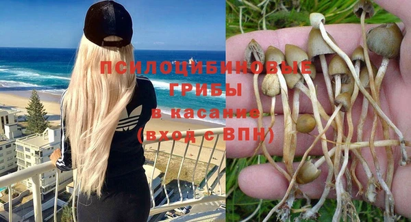 прущие крисы Беломорск