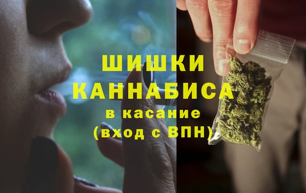 PSILOCYBIN Белоозёрский