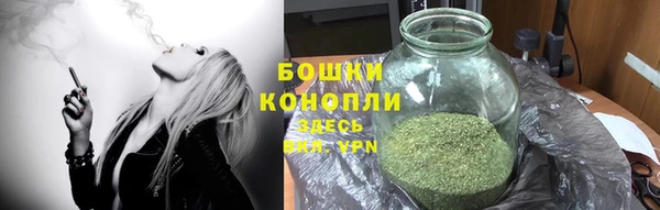 шишки Сафоново