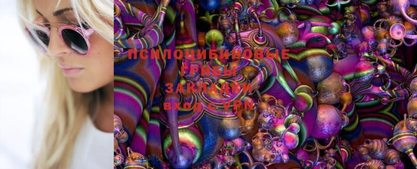 прущие крисы Беломорск