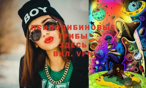 прущие крисы Беломорск