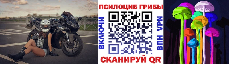 Псилоцибиновые грибы мицелий mega ссылка Пойковский